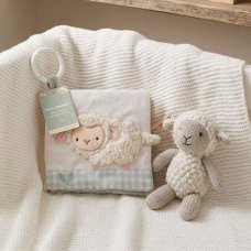 FS922: Soft Crinkle Baby Book